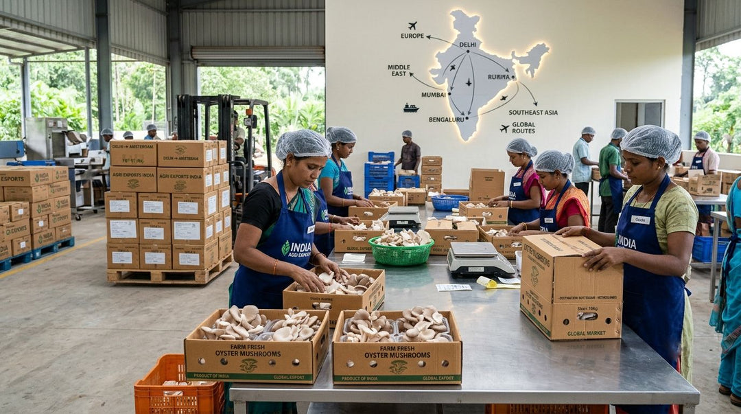 From Farm to Global Market: A Complete Guide to Exporting Oyster Mushrooms from India