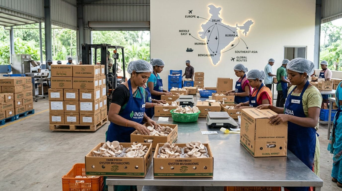 From Farm to Global Market: A Complete Guide to Exporting Oyster Mushrooms from India