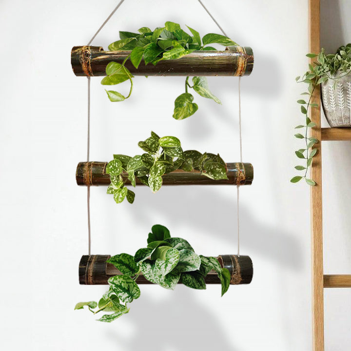 Gachwala Natural 3 Tyre Bamboo Planter/Wooden Container/Vartical Planter Step - Garden Decoration Planters/Pot for Balcony - Plants Decorative Accessories (Length 35 to 42 cm)