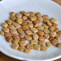 শাঁখ আলু/যাম বিন বীজ (Pachyrhizus spp)- ১০০+ স্বাস্থ্যকর বীজের প্যাক