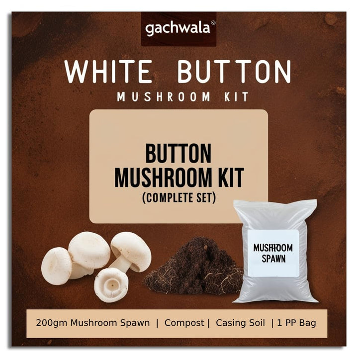 White Button Mushroom Kit (Complete Set) - Spawn/Seeds 200gm + Pasteurized Compost &amp;amp; Casing Soil + PP Bag - High Yield, First Generation, Grain-Based Seeds - Growing Edible Mushrooms Indoors