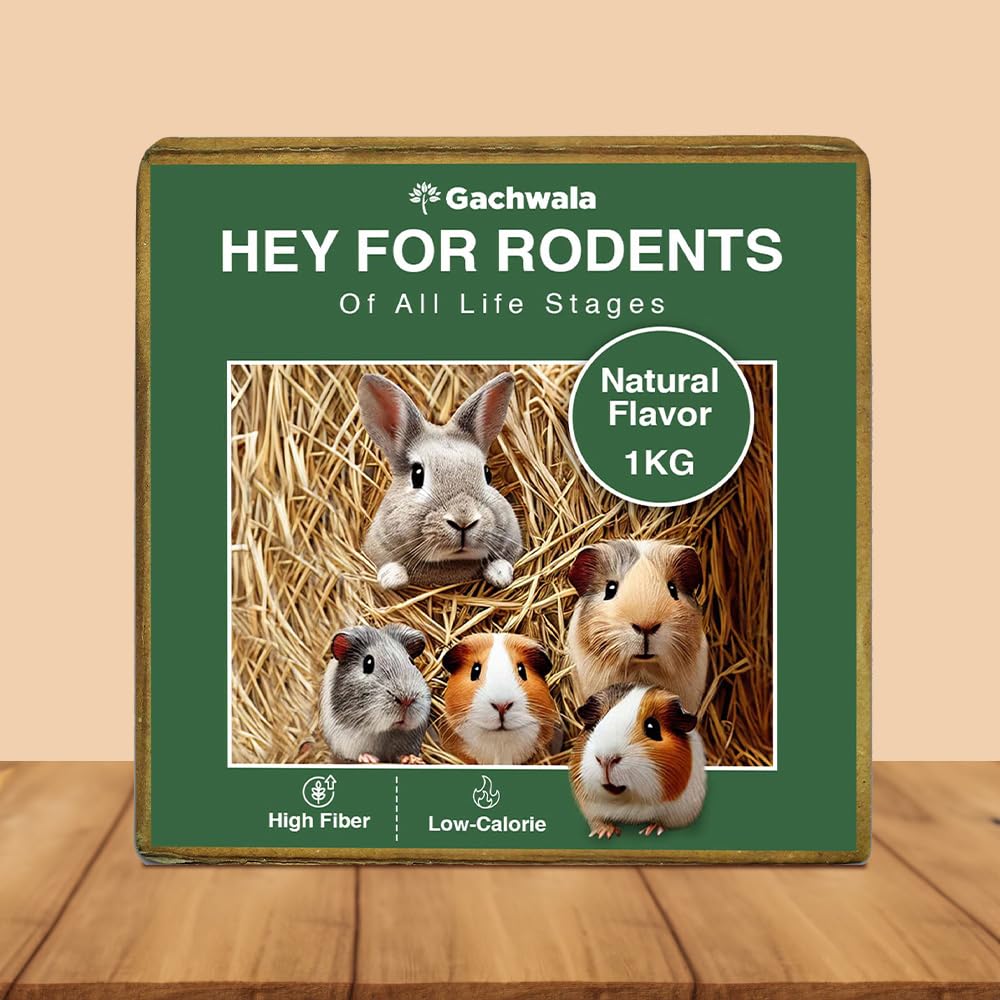 Rice Paddy Hay 1kg for Rodent Feeding &amp; Bedding | Natural Hay for Rabbits, Guinea Pigs, Hamsters &amp; Small Pets | High Fiber Nutrition &amp; Comfortable Bedding Material