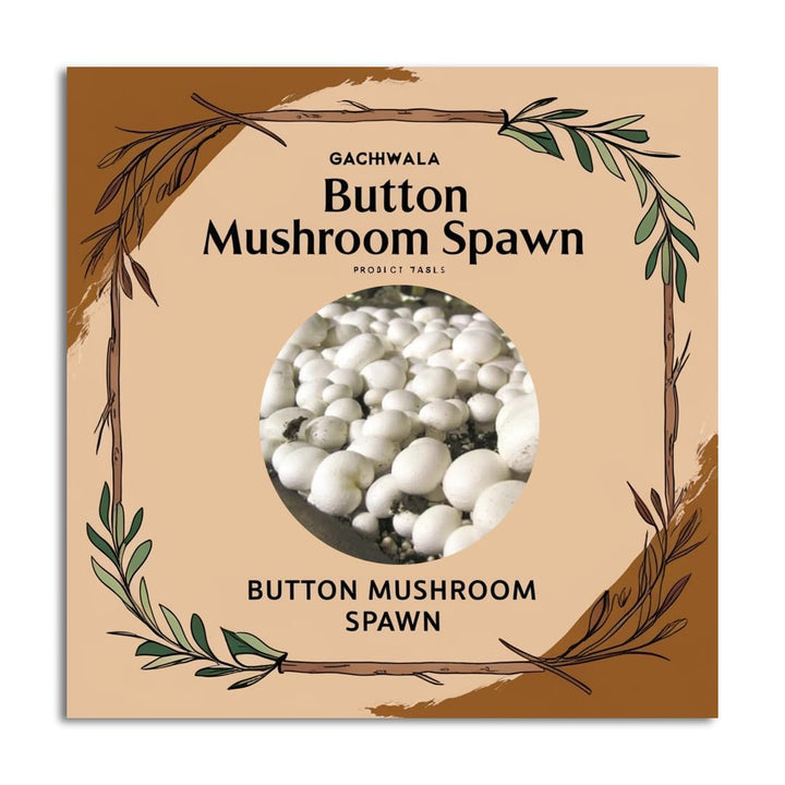 White Button Mushroom Spawn, 200g/400g - Fresh White Mycelium for Growing Edible Mushrooms Indoors, Home Gardening or Commercial Use - High Yield Spores Grain Based Seeds for Mushroom Cultivation