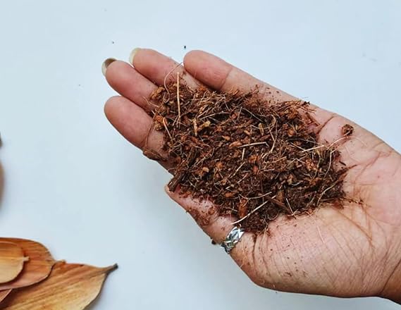 গাছওয়ালা কোকোপিট (লুজ) - (১ কেজির প্যাক) বাগান ও গাছের জন্য | ইনডোর ও আউটডোর গাছের জন্য অর্গানিক কোকোনাট কয়ার | গাছের স্বাস্থ্যের উন্নতির জন্য কোকোপিট মাটি - টবের গাছের জন্য নারকেলের ছোবড়া