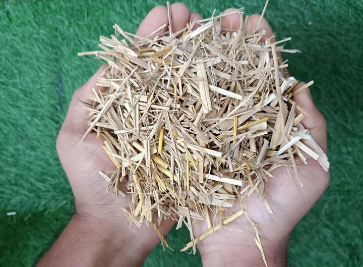 Cutting Wheat Straw (Pack of 7/2 KG) | Natural Wheat Straw - For Mushroom Farming and Gardening | 100% Natural Shrubs and Wheat Mulch