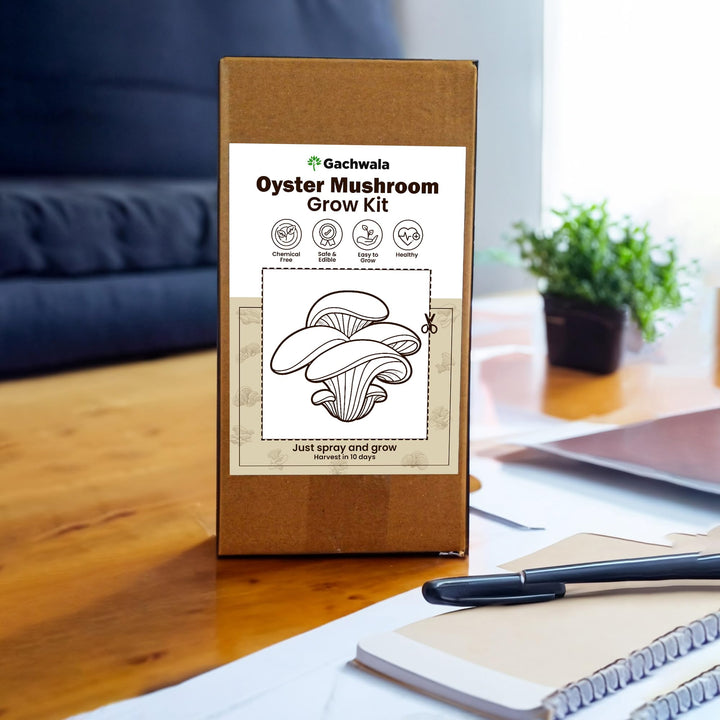 White Oyster Mushroom Growing Kit - Grow Your Own Mushroom in 10 Days | Ready to Harvest Organic Oyster Mushroom, Indoor Mushroom Growing Kit