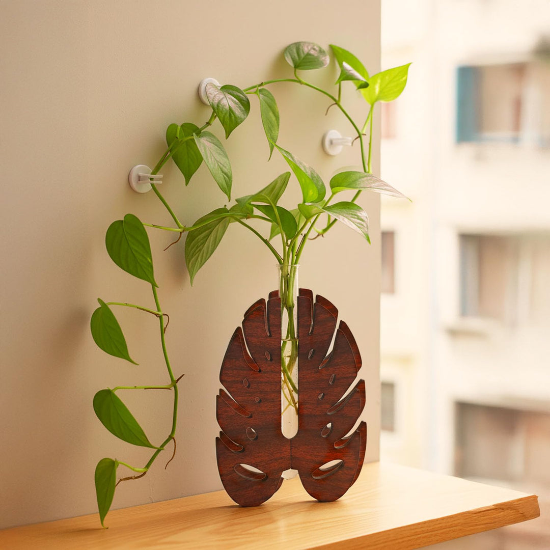 Monstera Leaf Plant Holder with Thin Test Tube | Aesthetic Flower Vase for Home Decor | Table Decoration Item for Living Room &amp; Bedroom | Decorative Planter for Office &amp; Home Decoration