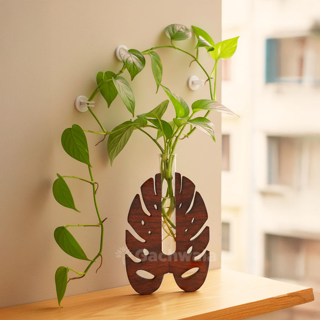 Monstera Leaf Wooden Stand with Thick Glass Test Tube Vase | Decorative Flower Vase for Home Decor | Table Decoration Item for Living Room, Bedroom &amp; Office | Aesthetic Plant Holder