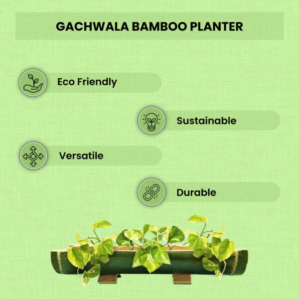 Gachwala Premium Bamboo Planter with Stand,Hand Crafted Bamboo Planter for Home Decor &amp; Gardening, Design for Indoor Plants and Herbs, Bamboo Bird Feeder (Horizontal 20 Inches in Length)-B-17