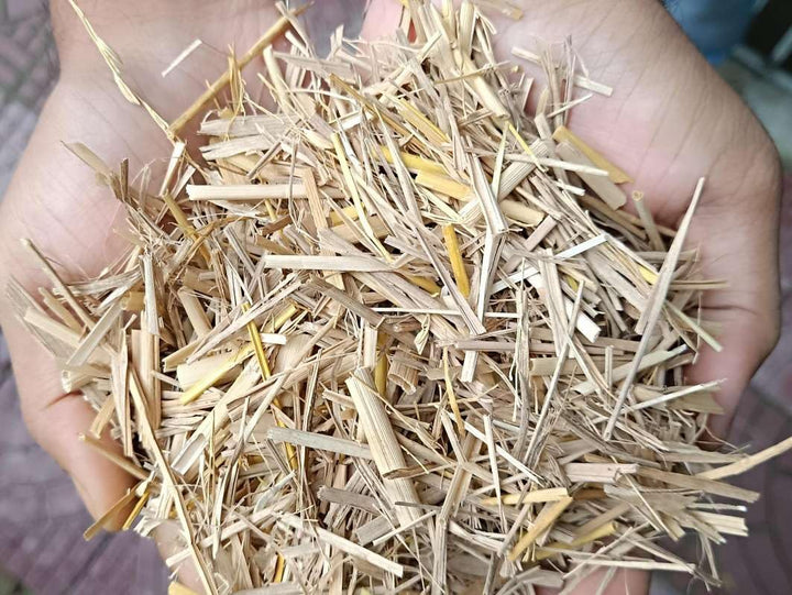 Cutting Wheat Straw (Pack of 7/2 KG) | Natural Wheat Straw - For Mushroom Farming and Gardening | 100% Natural Shrubs and Wheat Mulch