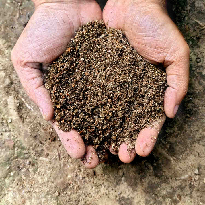 Premium Mushroom Casing Soil (900 gm) - Nutrient-Rich Blend for Milky, King Oyster, and Button Mushrooms - Sterilized Topsoil, Ideal for Top Layer for All Kind of Mushroom