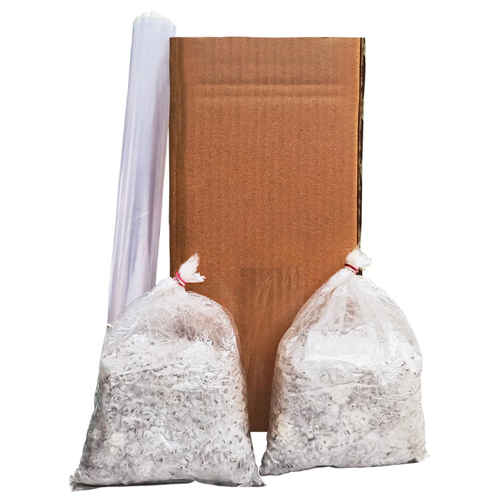 White Oyster Mushroom Growing Kit - Grow Your Own Mushroom in 10 Days | Ready to Harvest Organic Oyster Mushroom, Indoor Mushroom Growing Kit
