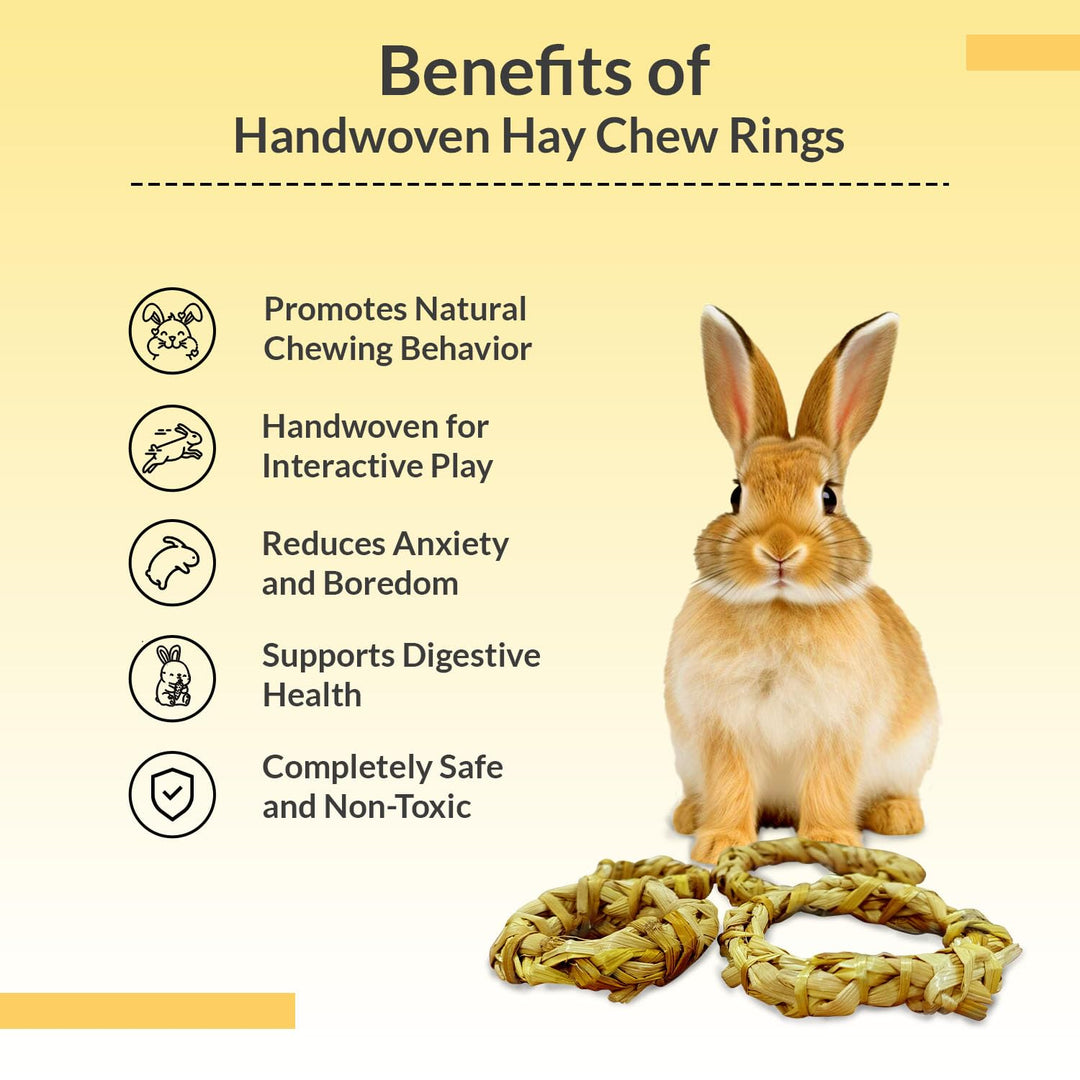 Organic Handwoven Hay Chew Rings for Small Animals (Pack of 4) – Perfect for Rabbits, Guinea Pigs, Hamsters, Chinchillas, and Gerbils – Chew Toy to Promote Dental Health