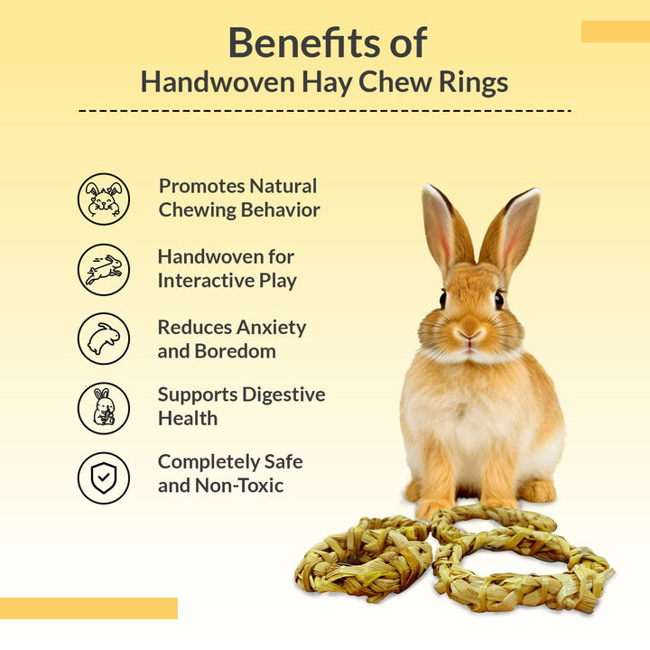 Organic Handwoven Hay Chew Rings for Small Animals (Pack of 4) – Perfect for Rabbits, Guinea Pigs, Hamsters, Chinchillas, and Gerbils – Chew Toy to Promote Dental Health