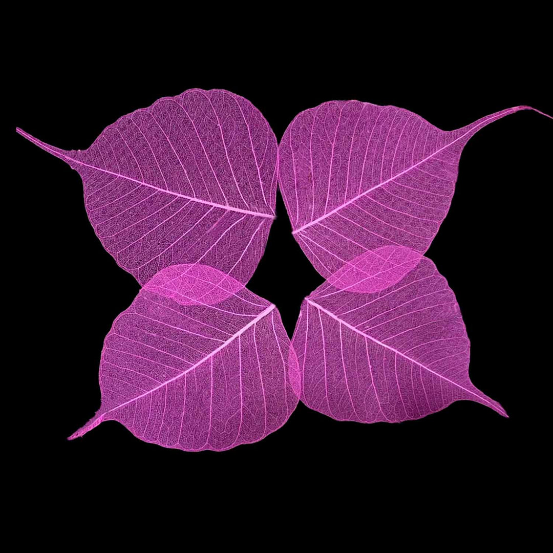 Gachwala Natural Pink Skeleton Leaves – Pack of 100/50/25 | Dried Decorative Leaves for DIY Crafting; Scrapbooking; Greeting Cards; Wedding Invitations; Resin Art; Leaf Art; Gift Embellishments