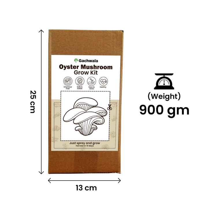 White Oyster Mushroom Growing Kit - Grow Your Own Mushroom in 10 Days | Ready to Harvest Organic Oyster Mushroom, Indoor Mushroom Growing Kit
