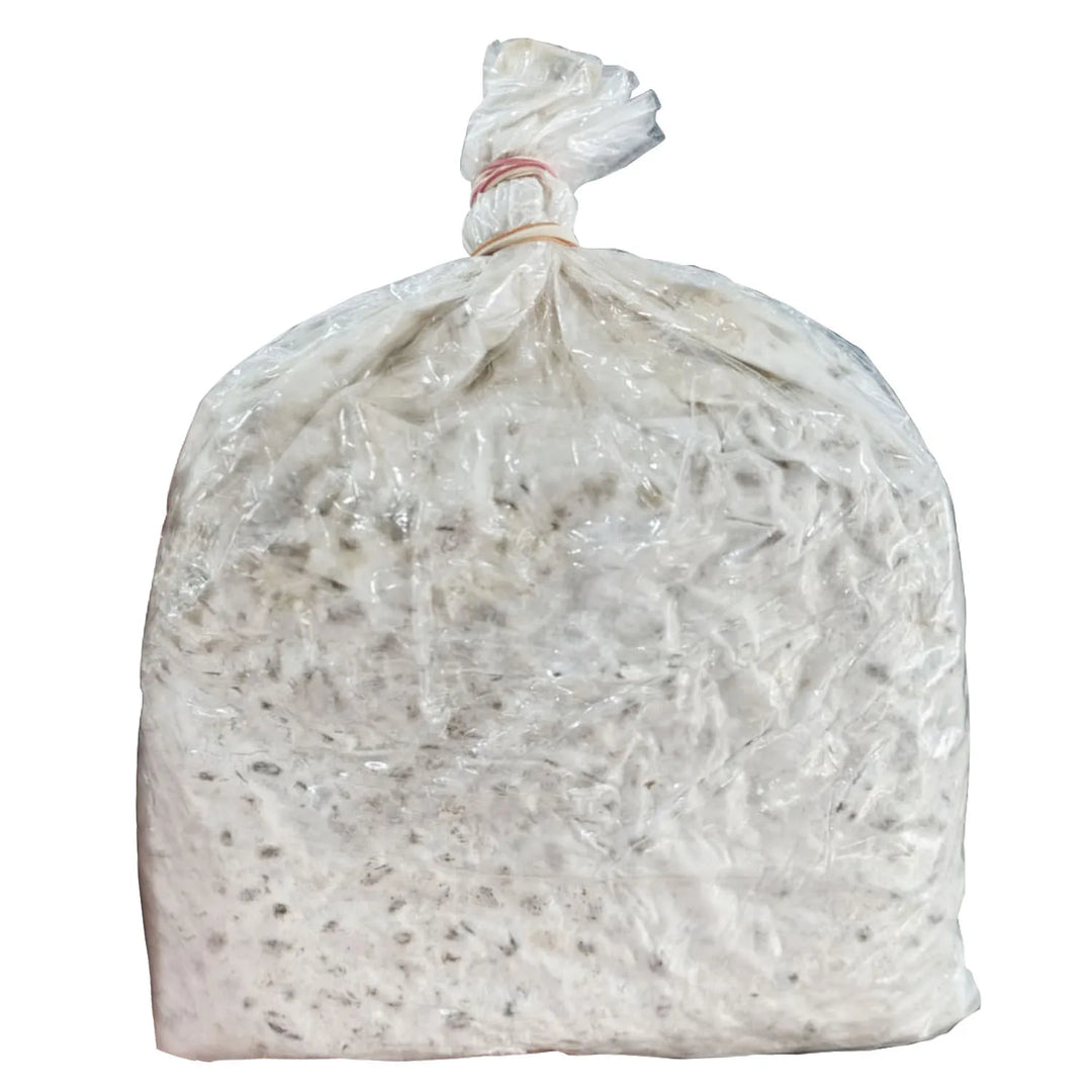 Oyster Mushrooms Spawn / Seeds Approx - 3Kg - Grain Based First Generation High Yield White Mycelium Spores Edible CO2 Variety(13 packets of spawns + 13 PP)