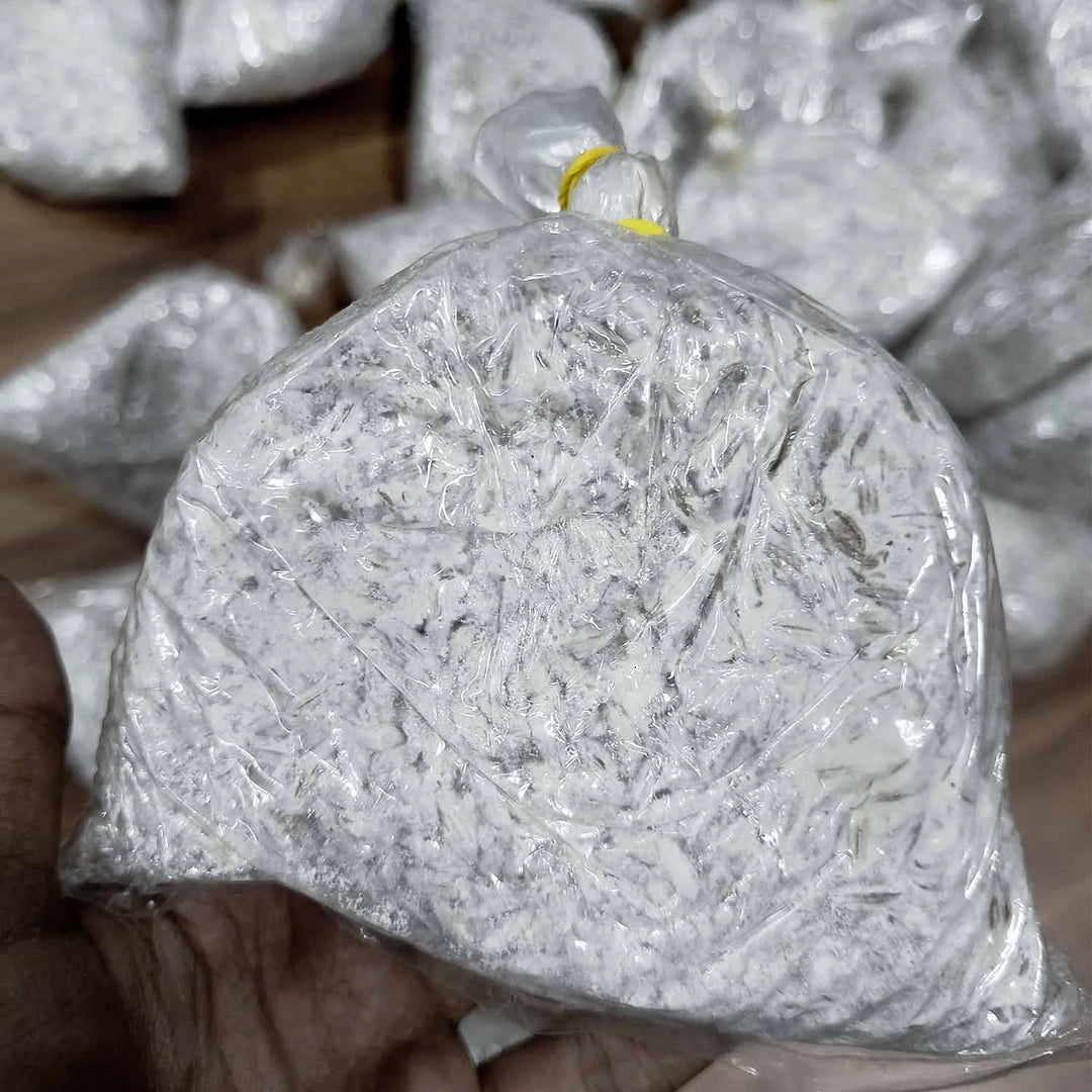 Oyster Mushrooms Spawn / Seeds Approx-2Kg - Grain Based First Generation High Yield White Mycelium Spores Edible CO2 Variety (9 Packets of Spawns + 9PP)
