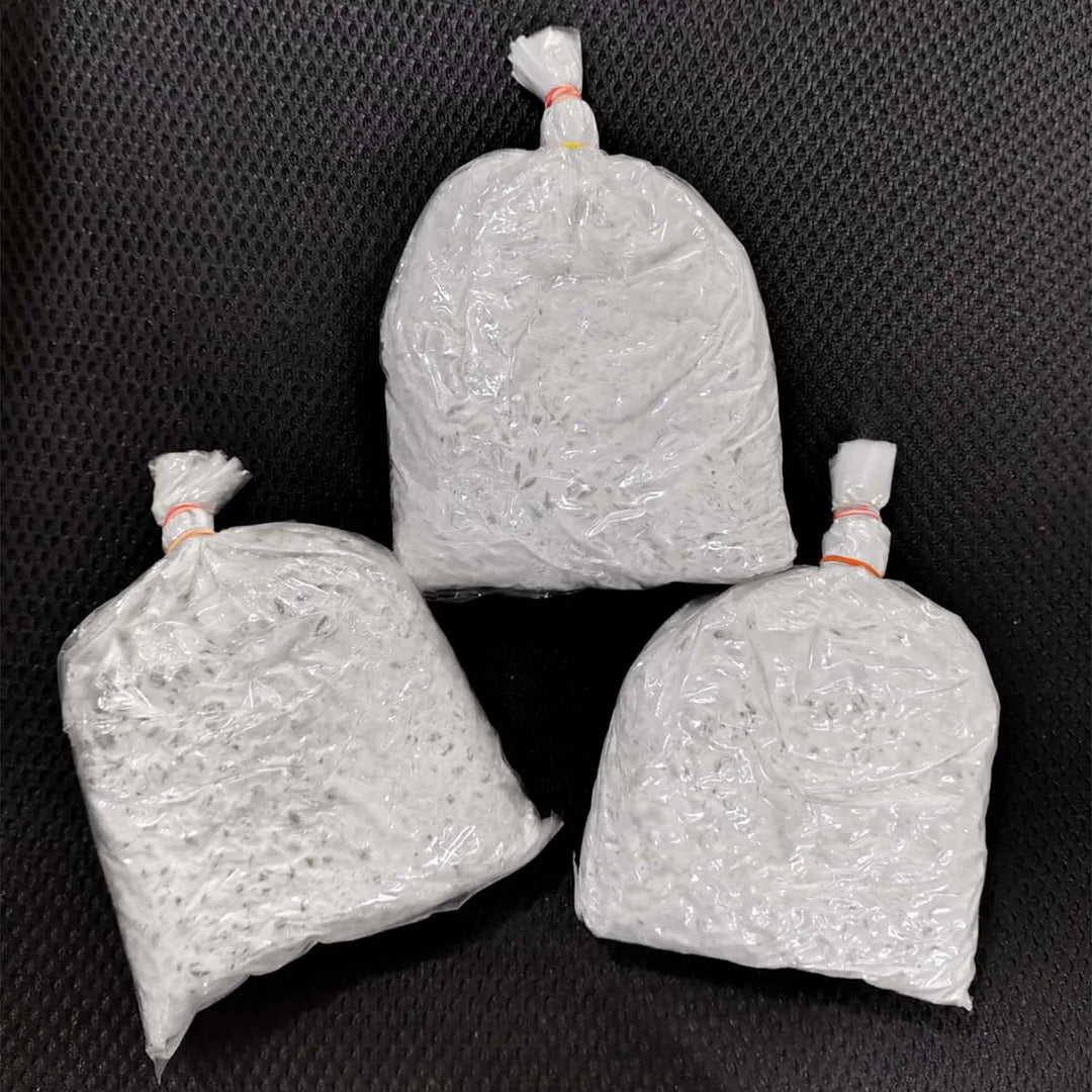 Oyster Mushrooms Spawn / Seeds Approx-2Kg - Grain Based First Generation High Yield White Mycelium Spores Edible CO2 Variety (9 Packets of Spawns + 9PP)