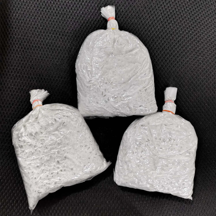 Oyster Mushrooms Spawn / Seeds Approx-2Kg - Grain Based First Generation High Yield White Mycelium Spores Edible CO2 Variety (9 Packets of Spawns + 9PP)