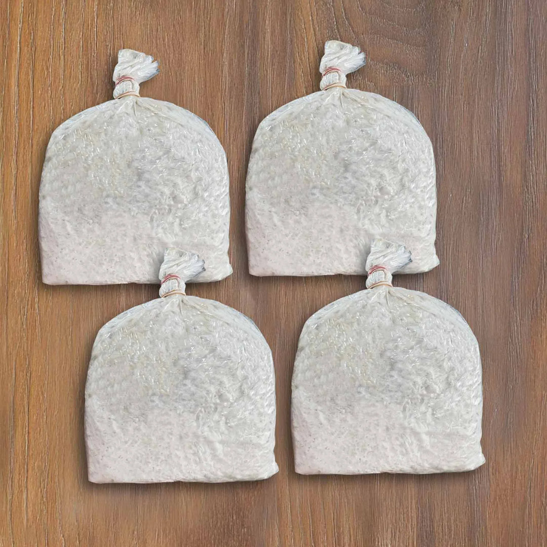 Oyster Mushrooms Grain Spawn / Seeds - First Generation High Yield White Mycelium Spores Edible CO2 Variety Approx-1Kg(4 packs of spawns+ 4 PP)