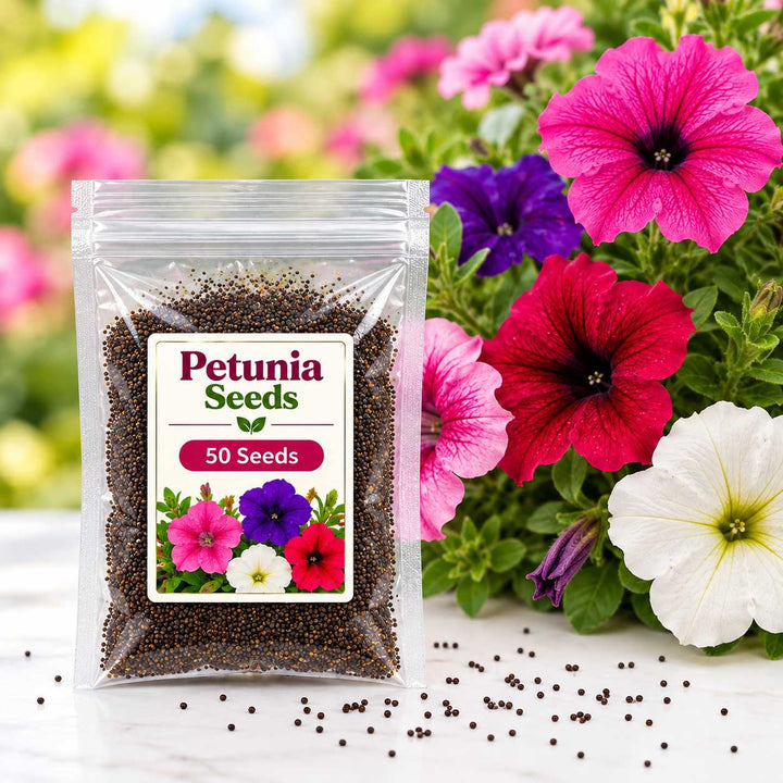 Petunia Seeds – 50 Seeds for Growing Colourful Petunia Flowers at Home, Pots, Balcony &amp; Garden