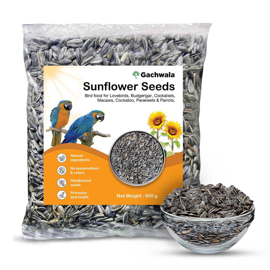 Sunflower Seeds (450gm/900gm) - Premium Bird Food Enriched with Essential Vitamins and Minerals for Vibrant Feathers and Optimal Health - 100% Natural Seeds