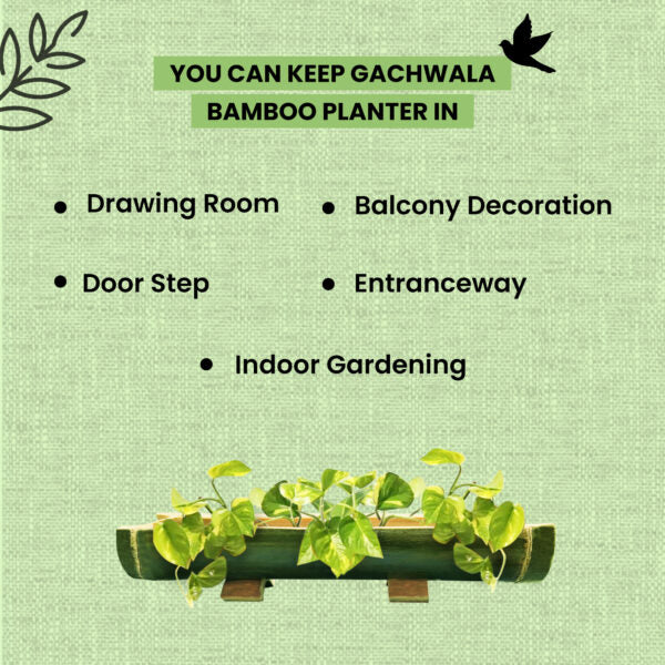Gachwala Premium Bamboo Planter with Stand,Hand Crafted Bamboo Planter for Home Decor &amp; Gardening, Design for Indoor Plants and Herbs, Bamboo Bird Feeder (Horizontal 20 Inches in Length)-B-17