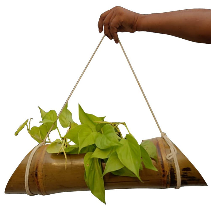 Gachwala Natural Bamboo Planter/Wooden Container - Garden Decoration Planters/Pot for Balcony - Plants Decorative Accessories (Hanging Large Bamboo Planter (Length 40 to 50 cm) - B7)