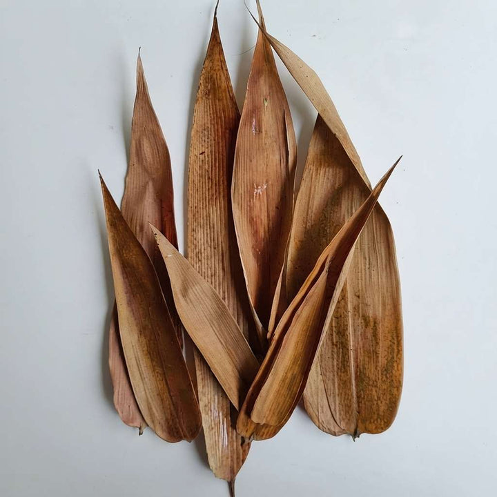 Dried Bamboo Leaves -100+ Pack, Compostable Natural Fiber, Bamboo Leaf Mulch