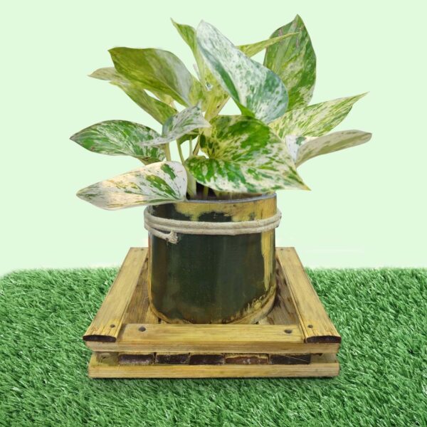 Bamboo Nest Planter (B21) – Eco-Friendly Decorative Pot | Natural Bamboo | Ideal for Indoor Plants; Succulents; Tabletop Décor; Home &amp; Office Use (Approx 12cm Height) (Plant Not Included)