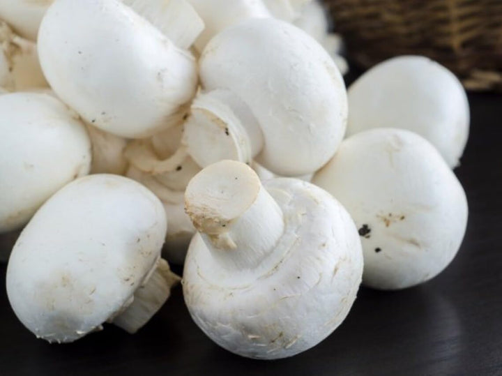 White Button Mushroom Kit (Complete Set) - Spawn/Seeds 200gm + Pasteurized Compost &amp;amp; Casing Soil + PP Bag - High Yield, First Generation, Grain-Based Seeds - Growing Edible Mushrooms Indoors
