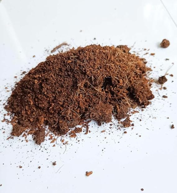 গাছওয়ালা কোকোপিট (লুজ) - (১ কেজির প্যাক) বাগান ও গাছের জন্য | ইনডোর ও আউটডোর গাছের জন্য অর্গানিক কোকোনাট কয়ার | গাছের স্বাস্থ্যের উন্নতির জন্য কোকোপিট মাটি - টবের গাছের জন্য নারকেলের ছোবড়া