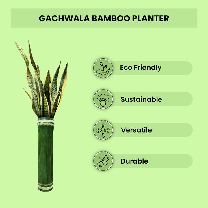 Gachwala Premium Bamboo Planter with Stand,Hand Crafted Bamboo Planter for Home Decor &amp; Gardening, Design for Indoor Plants and Herbs, Bamboo Bird Feeder (Horizontal 20 Inches in Length)-B-17
