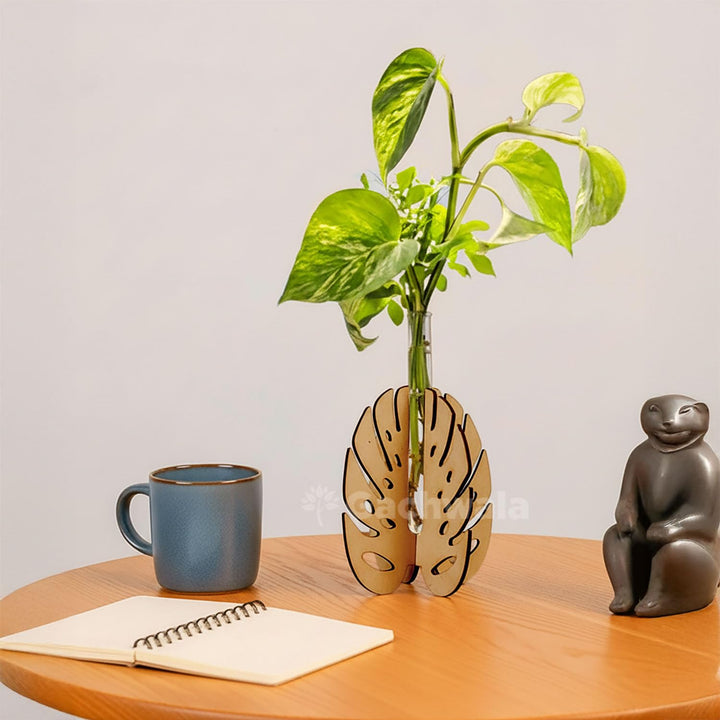 Monstera Leaf Plant Holder with Thin Test Tube | Aesthetic Flower Vase for Home Decor | Table Decoration Item for Living Room &amp; Bedroom | Decorative Planter for Office &amp; Home Decoration