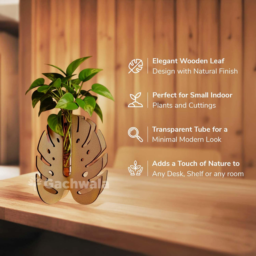Monstera Leaf Plant Holder with Thin Test Tube | Aesthetic Flower Vase for Home Decor | Table Decoration Item for Living Room &amp; Bedroom | Decorative Planter for Office &amp; Home Decoration