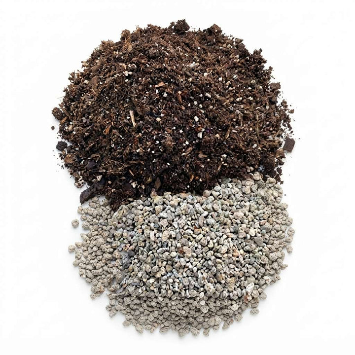 Hoya Dischidia Plant Fertilizer (Special Manure) | Homemade Fertilizer | Environmentally Friendly 100% Organic Product | Good for Plant Growth - 500 GM/1 Kg