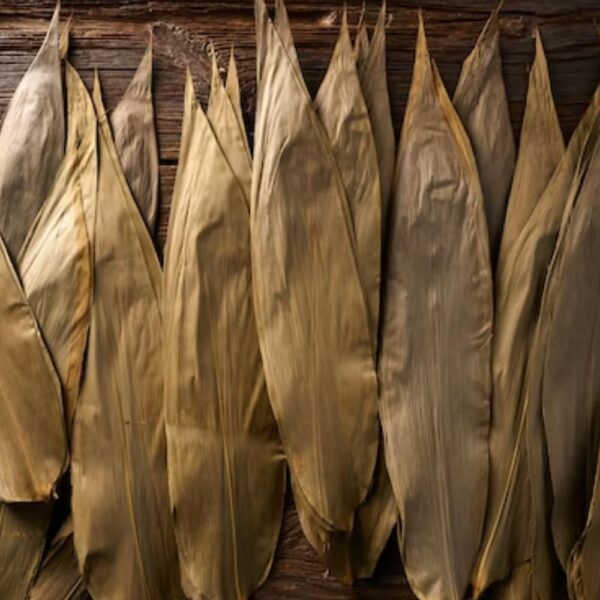 Dried Bamboo Leaves -100+ Pack, Compostable Natural Fiber, Bamboo Leaf Mulch