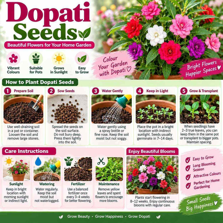 Dopati Seeds – 50 Seeds for Growing Colourful Dopati Flowers at Home, Pots, Balcony &amp; Garden