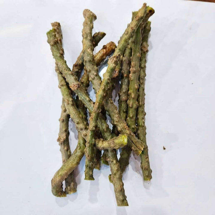 Fresh Neem Giloy Stem (7 inch) / Neem Giloy Stick (Pack 10) | Guduchi stems/Gudhi Stick for Herbal Use