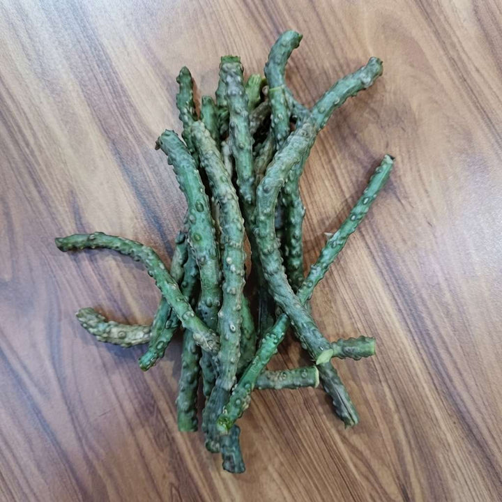 Fresh Neem Giloy Stem (7 inch) / Neem Giloy Stick (Pack 10) | Guduchi stems/Gudhi Stick for Herbal Use