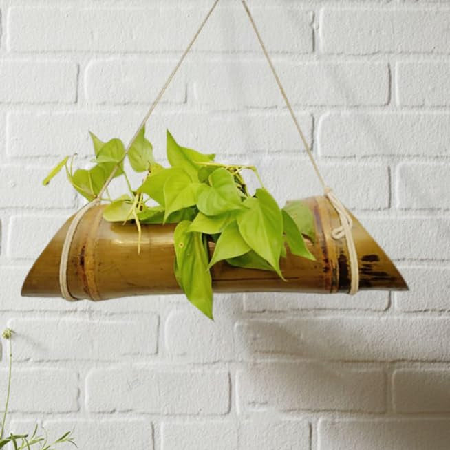 Gachwala Natural Bamboo Planter/Wooden Container - Garden Decoration Planters/Pot for Balcony - Plants Decorative Accessories (Hanging Large Bamboo Planter (Length 40 to 50 cm) - B7)