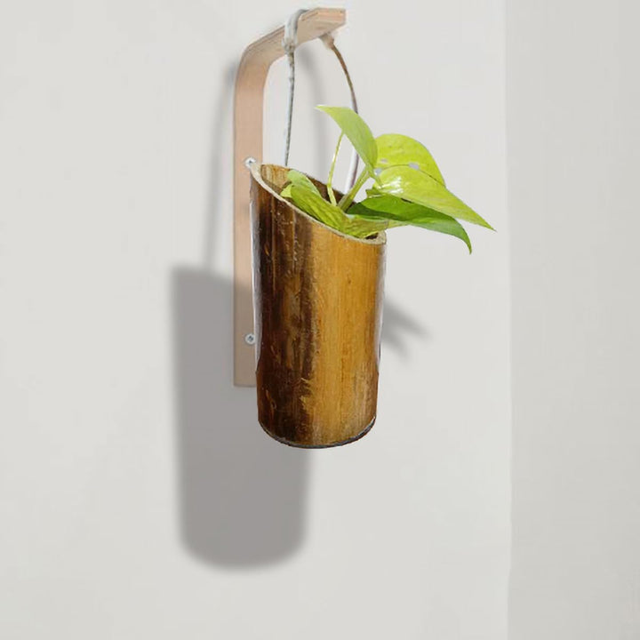 Gachwala Natural Bamboo Planter (Set 2) /Container - Garden Decoration Planters/Pot for Balcony - Plants Decorative Accessories (Hanging Medium Bamboo Planter with Plastic Cap (15 to 25 cm) - B12)