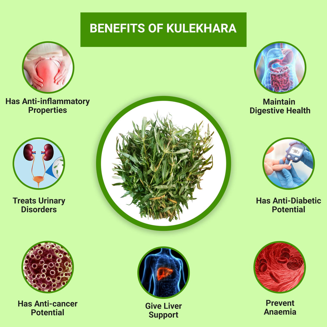 Gachwala Kulekhara Leaves – (20 to 25 Cutting Stem) Kokilaksha, Gokulakanta, Go-kanta, Gokanta, Kokilaksha/Neeramulli (Nirmulli)/Swamp weeds – Plant leaves