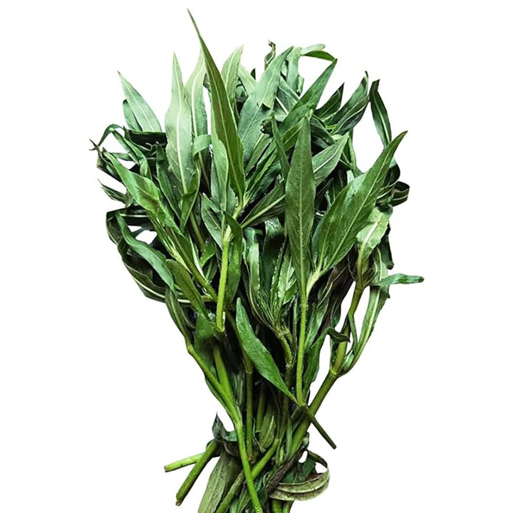Gachwala Kulekhara Leaves – (20 to 25 Cutting Stem) Kokilaksha, Gokulakanta, Go-kanta, Gokanta, Kokilaksha/Neeramulli (Nirmulli)/Swamp weeds – Plant leaves