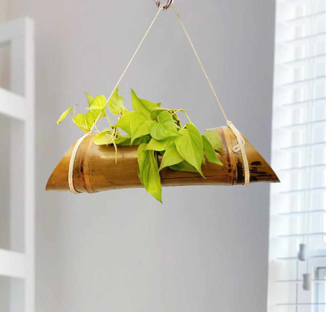Gachwala Natural Bamboo Planter/Wooden Container - Garden Decoration Planters/Pot for Balcony - Plants Decorative Accessories (Hanging Large Bamboo Planter (Length 40 to 50 cm) - B7)