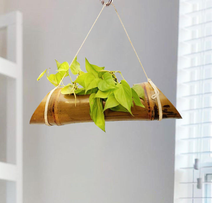 Gachwala Natural Bamboo Planter/Wooden Container - Garden Decoration Planters/Pot for Balcony - Plants Decorative Accessories (Hanging Large Bamboo Planter (Length 40 to 50 cm) - B7)
