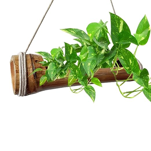 Gachwala Natural Bamboo Planter/Wooden Container - Garden Decoration Planters/Pot for Balcony - Plants Decorative Accessories (Large Bamboo Planter (Length 42 to 50 cm) - B10)