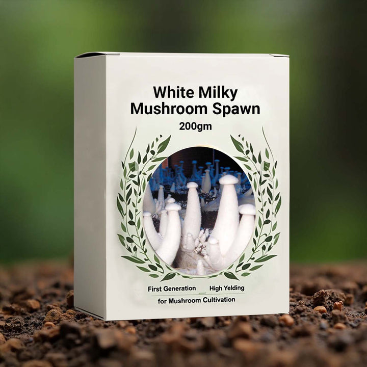 Gachwala Milky Mushroom Spawn 200gm/400gm | Complete Home Growing Kit with Straw, PP Bag &amp;amp; Casing Soil | Mushroom Cultivation Kit with Mushroom Seeds &amp;amp; User Manual