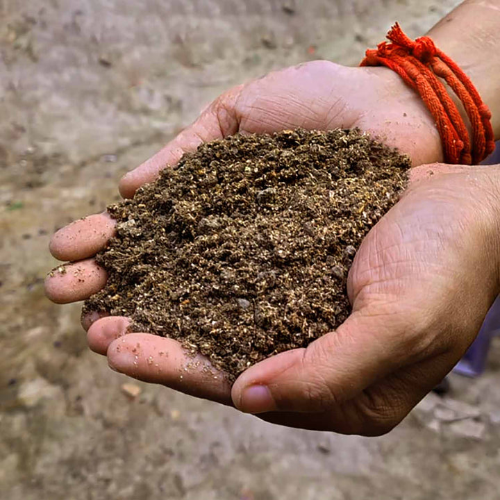 Premium Mushroom Casing Soil (900 gm) - Nutrient-Rich Blend for Milky, King Oyster, and Button Mushrooms - Sterilized Topsoil, Ideal for Top Layer for All Kind of Mushroom